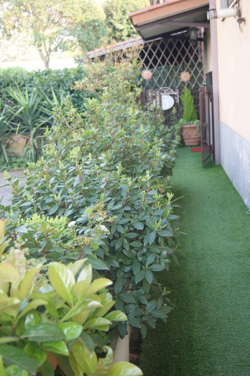 Residenza I Ciclamini Panzió Róma Kültér fotó